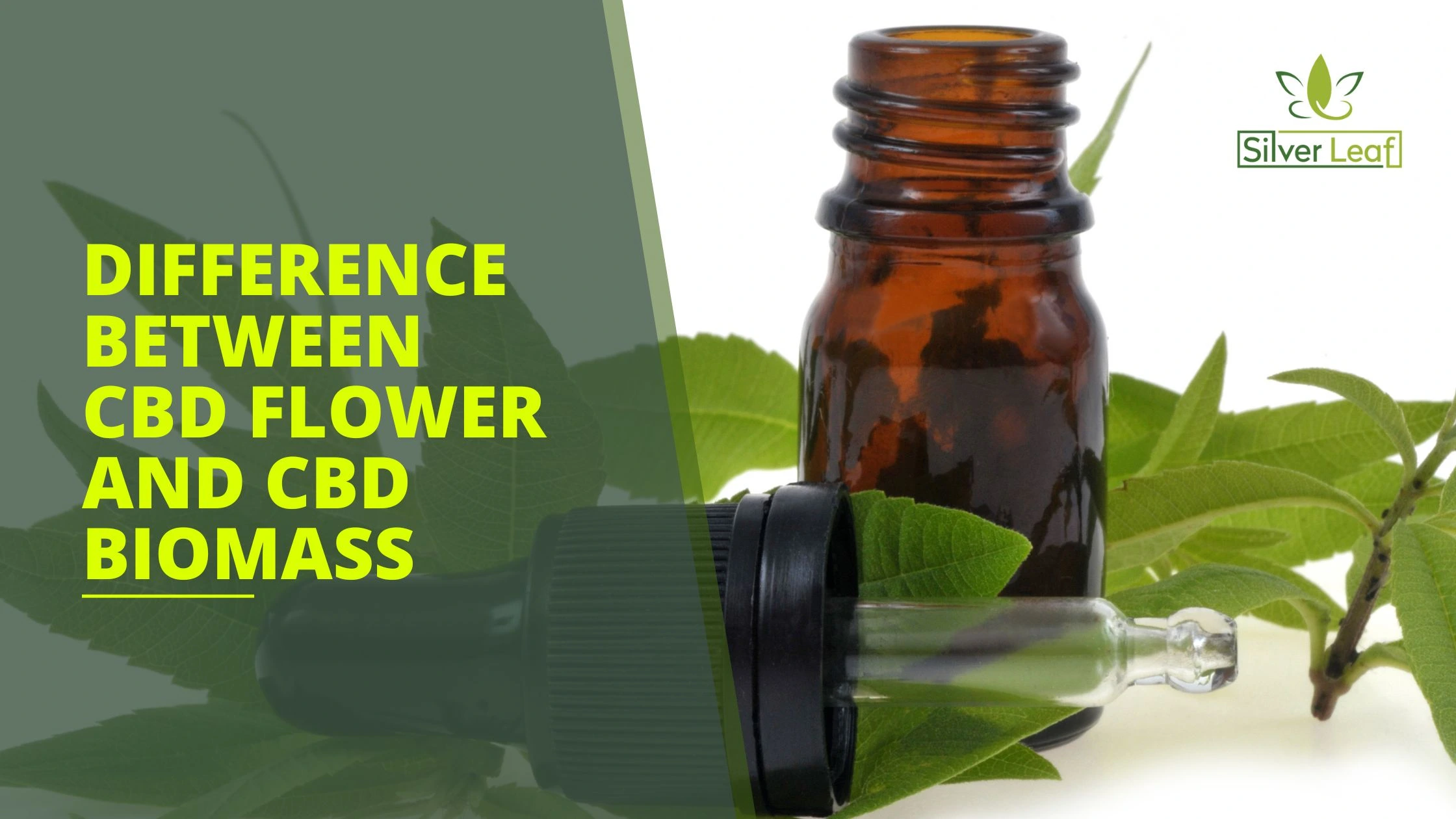 Difference Between CBD Flower and CBD Biomass