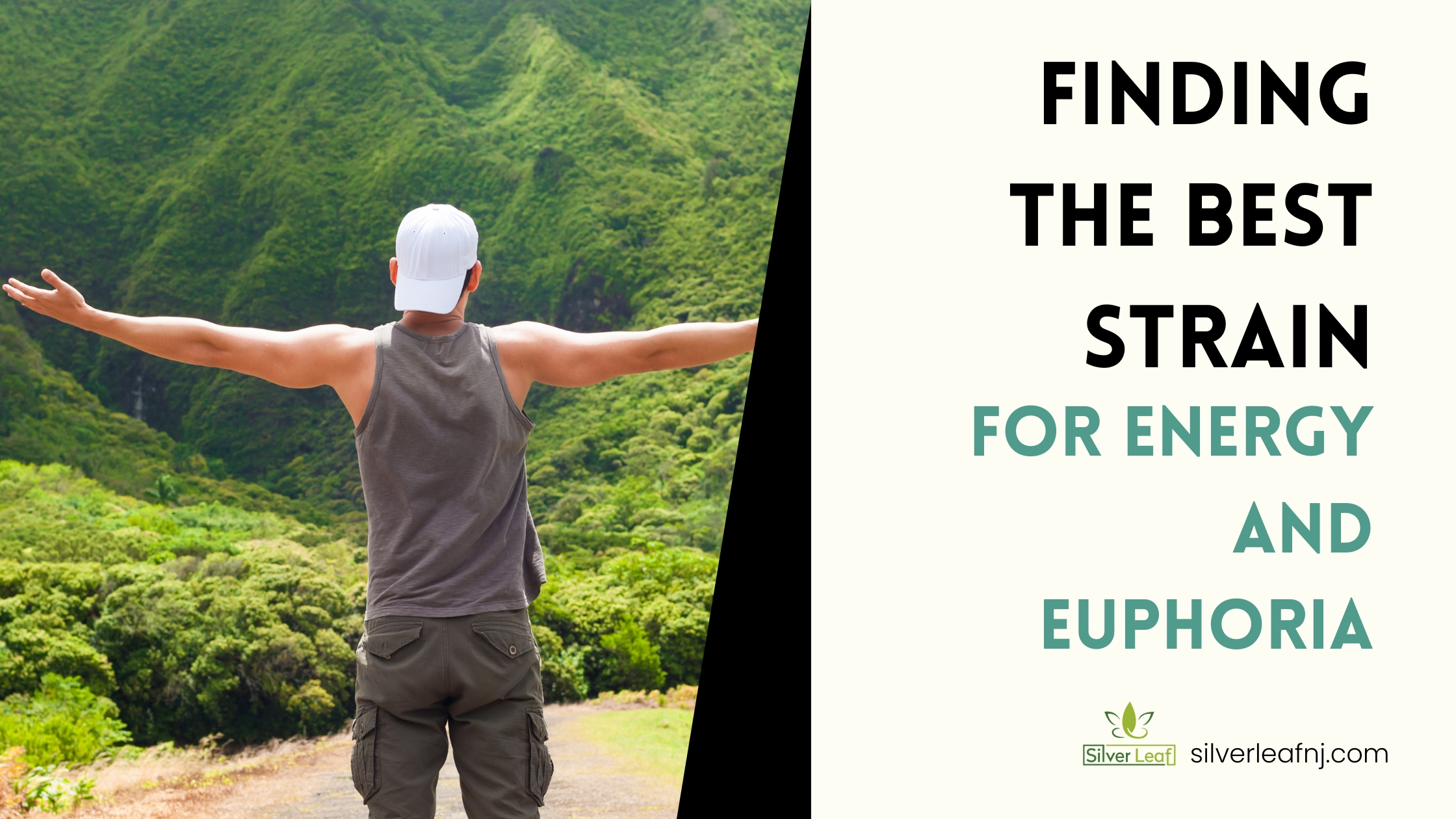 Finding-the-Best-Strain-for-Energy-and-Euphoria