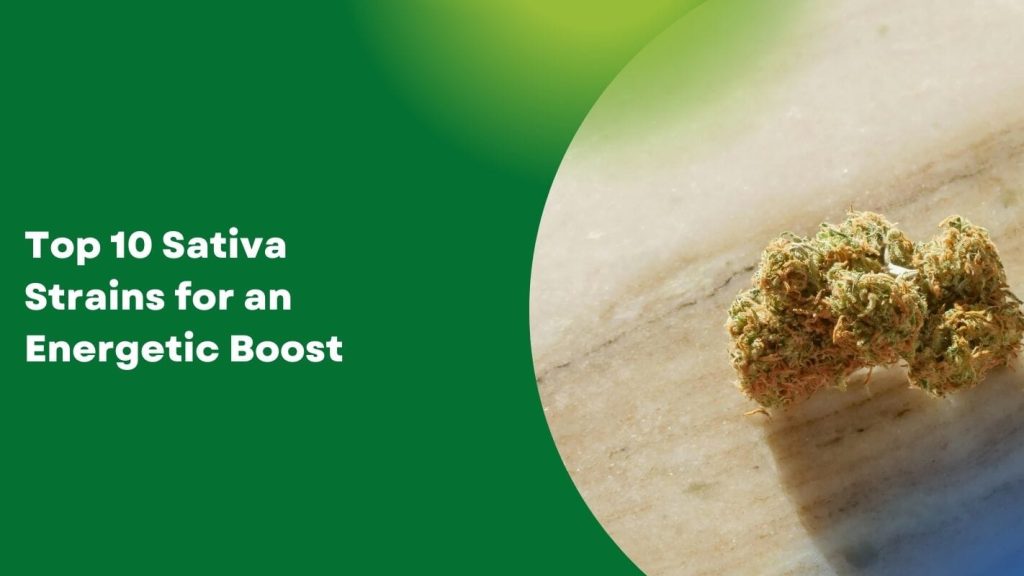 Top 10 Sativa Strains for an Energetic Boost