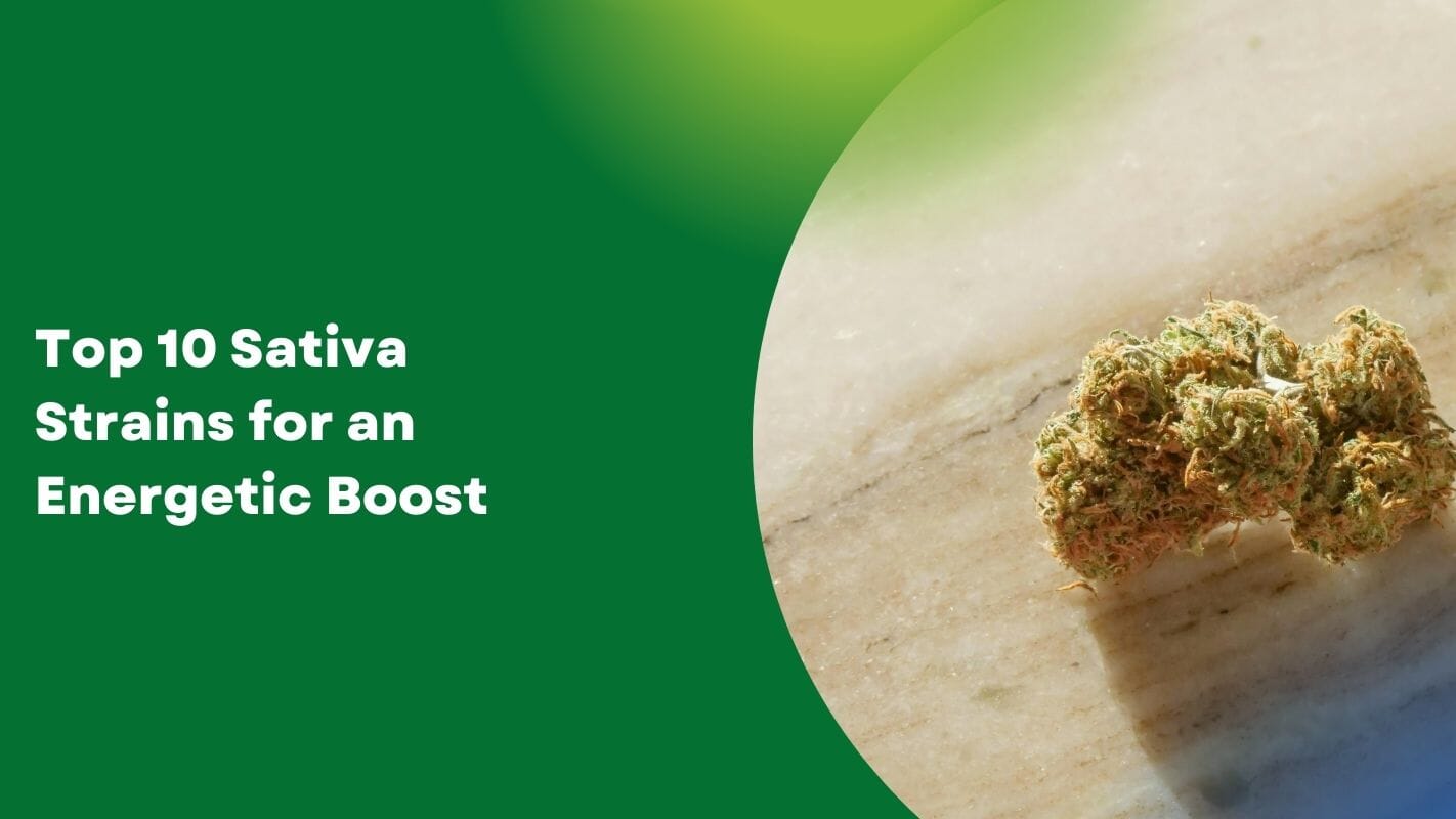 Top 10 Sativa Strains