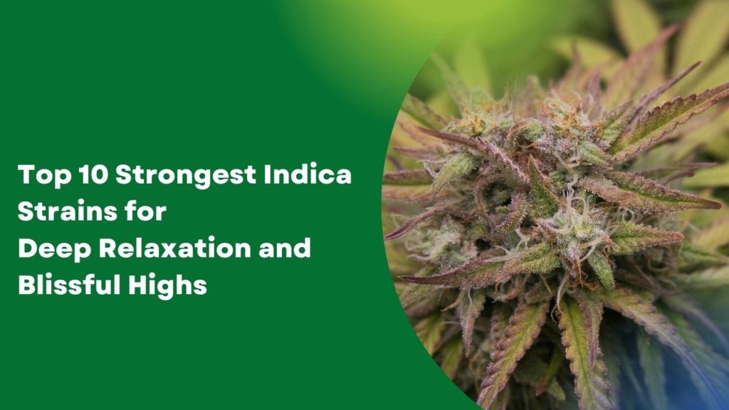 Top 10 Strongest Indica Strains for Deep Relaxation and Blissful Highs