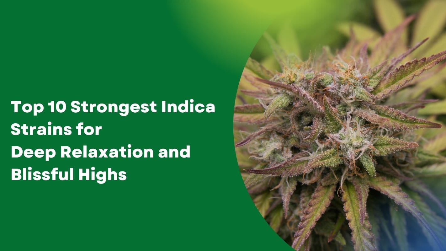 Top 10 strongest Indica Strains