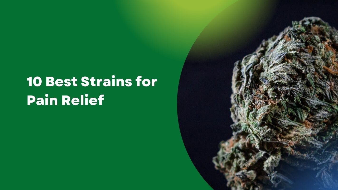 10 Best Strains for Pain Relief