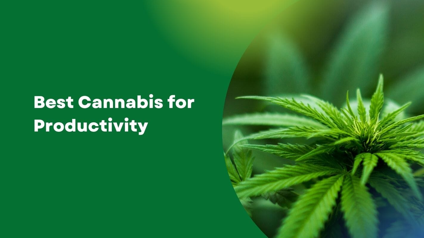 Best Cannabis for Productivity