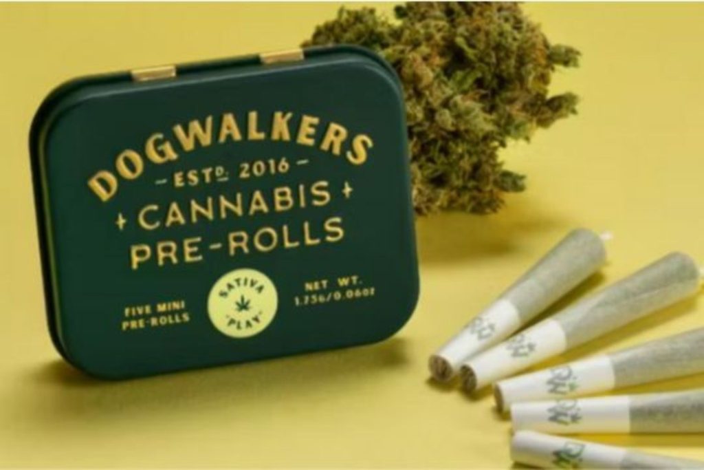8 Best Pre Rolls Weed You Can Try in 2025