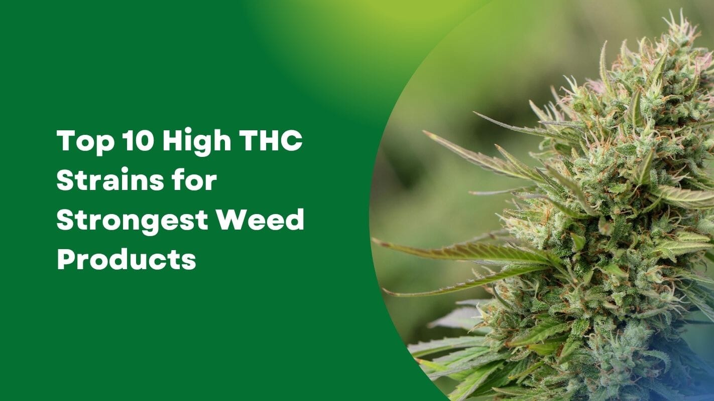 High THC Strains