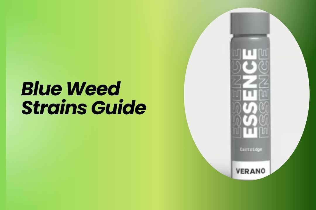 Blue Weed Strains Guide