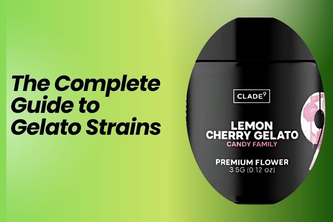 Best Gelato Strains