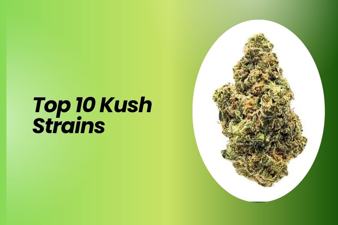 Kush Strains